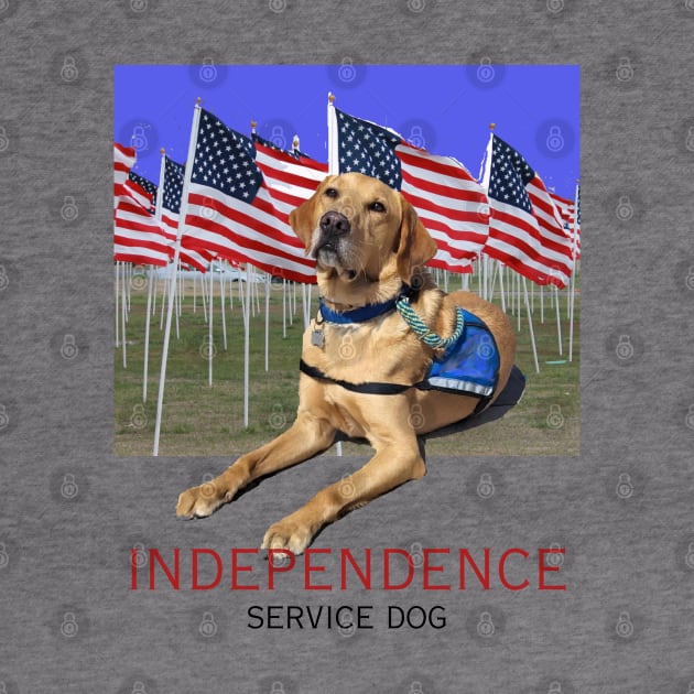 INDEPENDENCE Service Dog by B C Designs